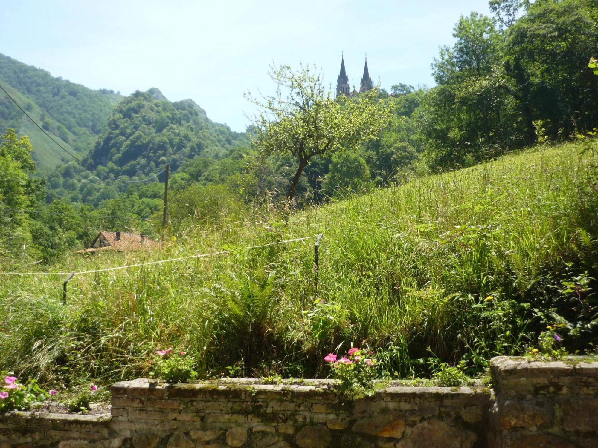 Hotel El Repelao Covadonga Luaran gambar